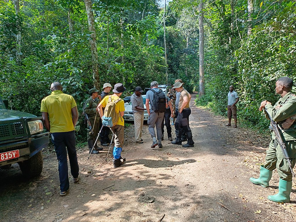 chimpanzee-tracking-in-kalinzu-central-forest-reserve