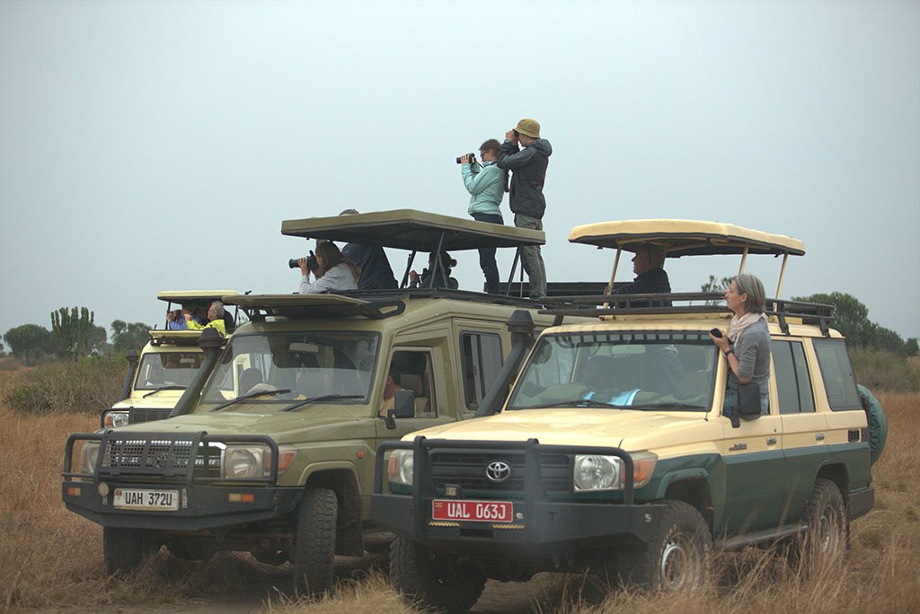 chimpanzee-tracking-in-uganda