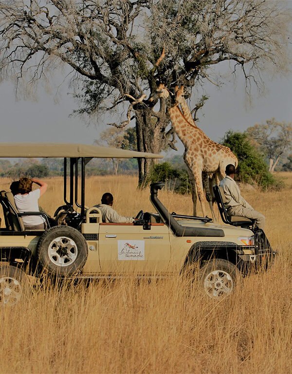 7-day-south-africa-luxury-tour