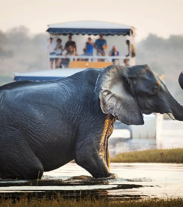 namibia-safaris